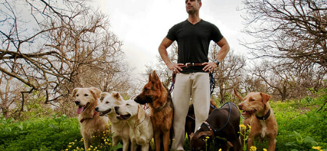 Visit a dog trainer